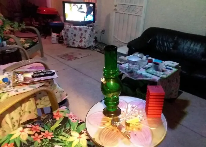 Catmosphere 2