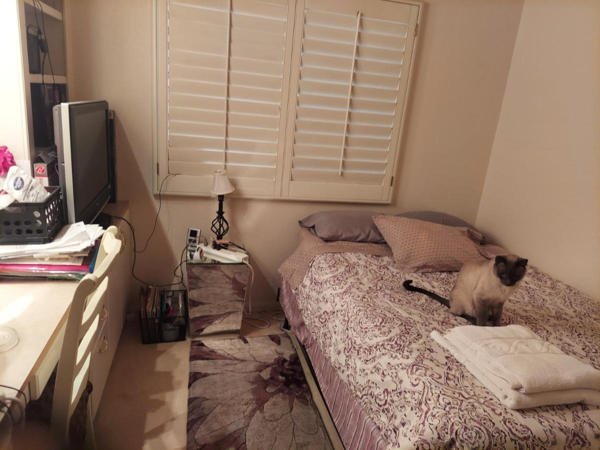 Catmosphere 2 Quarto em Acomodações Particulares